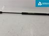 Tailgate strut 844300009R