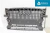 Mascherina inferiore del paraurti anteriore 8R0853651A
