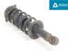 Rear shock absorber/damper 