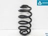 Rear coil spring 