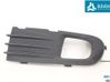Verkleidung Nebelscheinwerfer / Gitter vorne 30655884