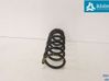 Muelle espiral trasero 550207022R