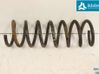 Rear coil spring 1365892