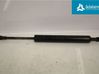 Tailgate strut 12768264
