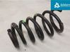 Feder hinten 30666641