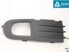 Verkleidung Nebelscheinwerfer / Gitter vorne 30655885