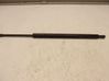 Tailgate strut 31365719