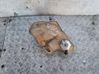 Ausgleichsbehälter Kühlwasser 05058372AD