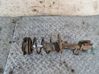 Front shock absorber with coil spring 543219U00A