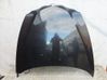 Engine bonnet/hood 