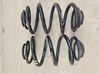 Rear coil spring 