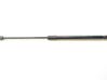 Tailgate strut 39021480