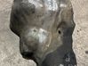 Heat shield in engine bay 