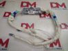 Front door airbag 13251620
