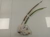 Front door lock 4N14F0402