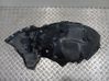 Front wheel arch liner splash guards 7485613