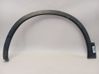 Fender 63811BR01A