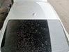 Tailgate/trunk/boot lid 