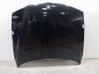 Engine bonnet/hood 41003449411