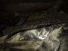 Engine control unit/module 0281012466