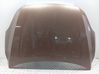 Motorhaube 31335847