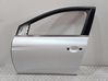 Puerta delantera 801010705R