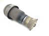 Shock absorber/damper/air suspension 2C796115280