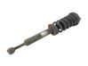Amortiguador delantero con muelle espiral 6700088960