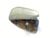 Wing mirror glass 31395541