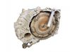 Automatic gearbox 1285057