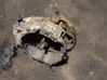 Manual 5 speed gearbox 1023746