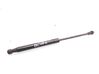 Tailgate/trunk strut/damper 23360
