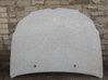 Motorhaube 