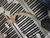 Coolant pipe/hose 