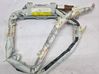 Roof airbag 5P0880741D