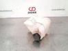 Coolant expansion tank/reservoir 254301P000