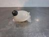 Coolant expansion tank/reservoir 217100680R