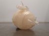 Coolant expansion tank/reservoir 9824198680
