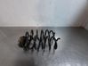 Muelle espiral trasero 550208225R