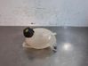 Coolant expansion tank/reservoir 217107259R