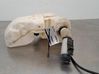 Windshield washer fluid reservoir/tank 1612505280