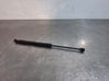 Front bonnet/hood damper/strut 654703934R