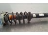 Front shock absorber/damper 80A413031AH