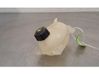 Coolant expansion tank/reservoir 217107259R