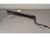 Tailgate strut 10403877