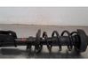 Front shock absorber/damper 543029028R