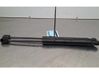 Tailgate/trunk strut/damper 9862745380