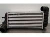 Intercooler radiator BV619L440CK