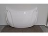 Motorhaube 11445869