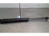 Tailgate/trunk strut/damper 9831083780